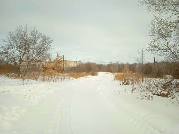 Дом 50 м² на участке 11 сот.