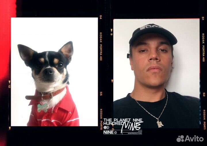 Вязка, Свидания