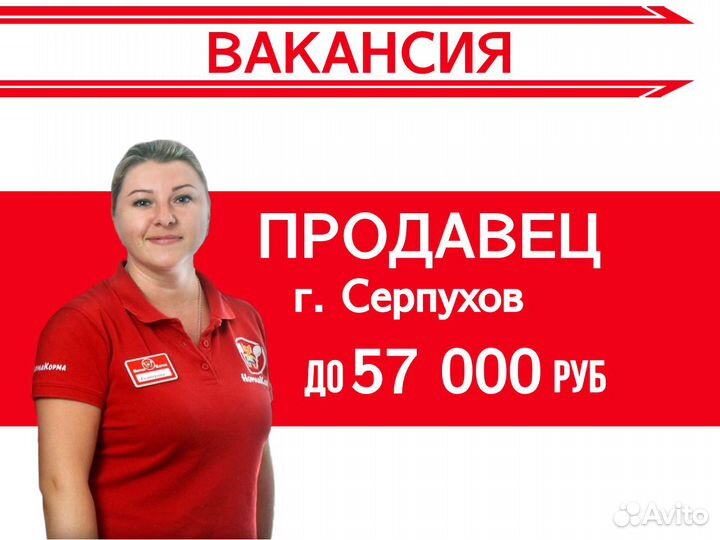 Продавец - консультант