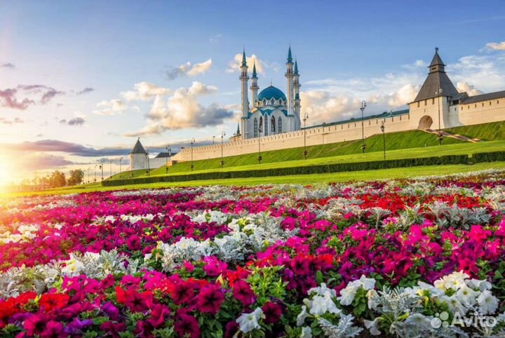 Казань