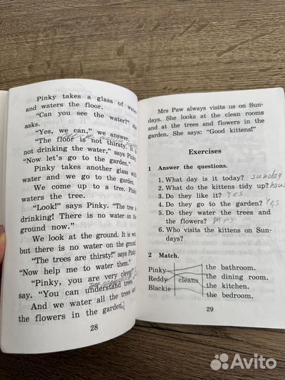 Забавные истории котенка Редди Юлия Пучкова