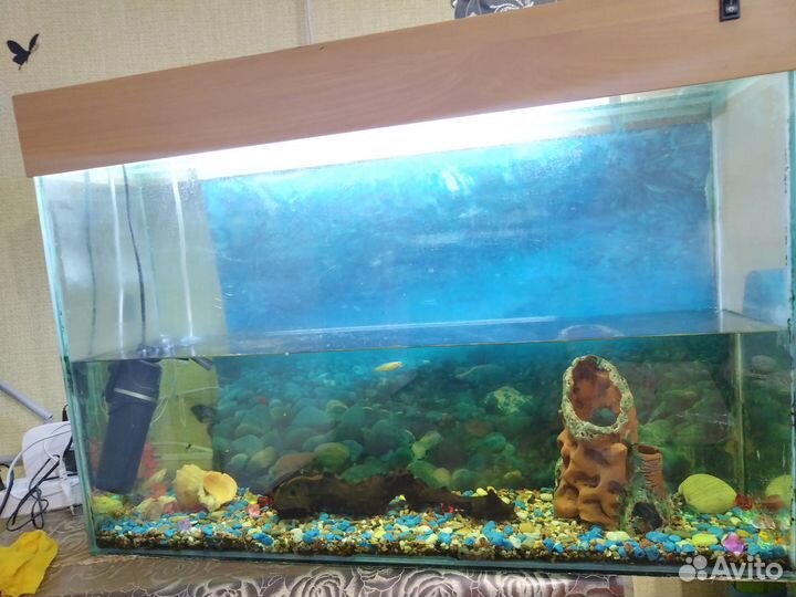 Аквариум 100 литров