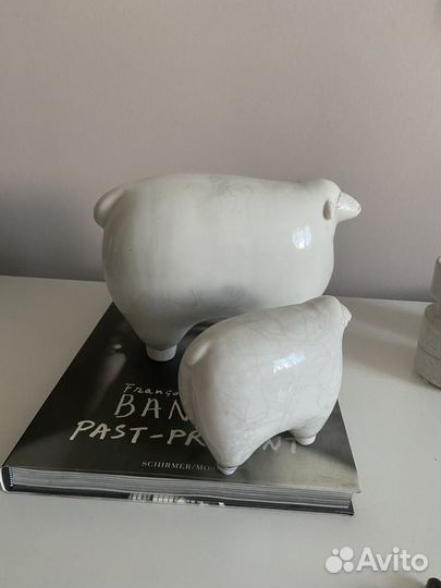 Овцы декоративные