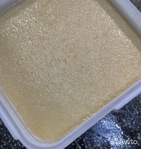 Липовый мед оптом