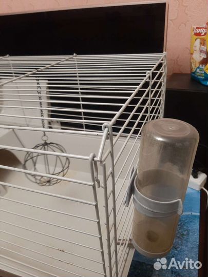 Клетка для морской свинки
