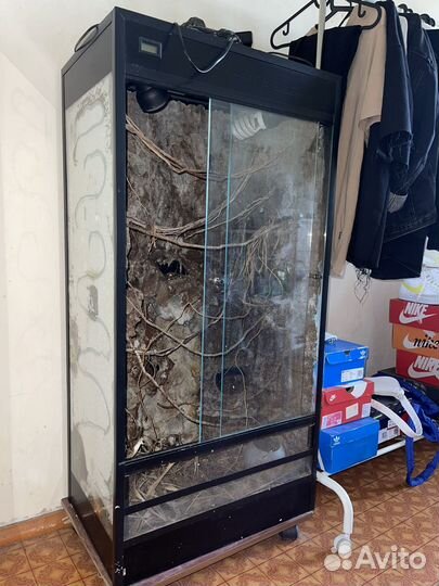 Террариум для хамелеона