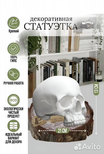 Статуэтка череп гипсовый анатомический
