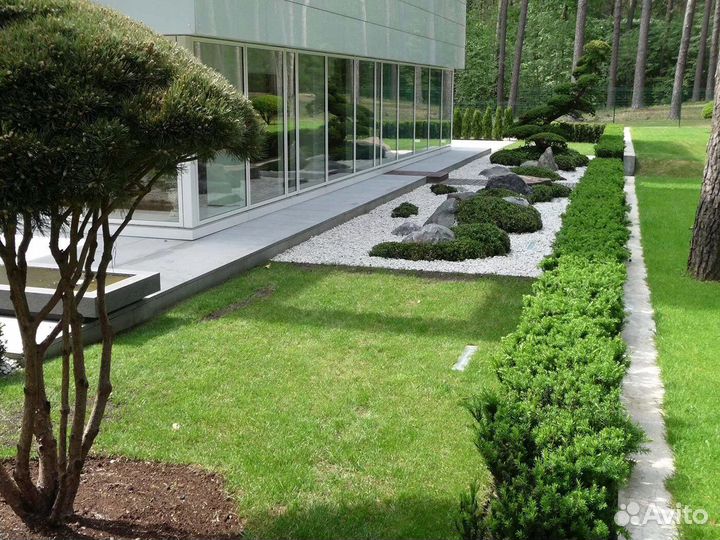 Продажа Рулонного газона, производитель