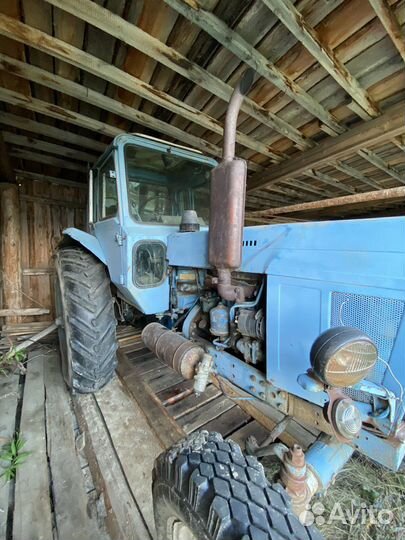 Трактор МТЗ (Беларус) 80, 2022