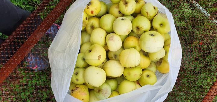 Дача 40 м² на участке 6,5 сот.