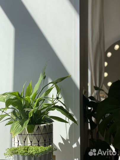 Администратор в студию красоты