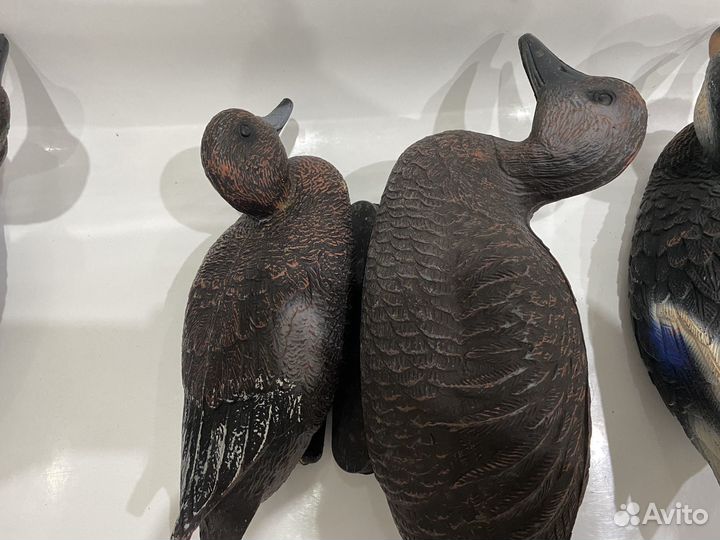 Утки подсадные для охоты