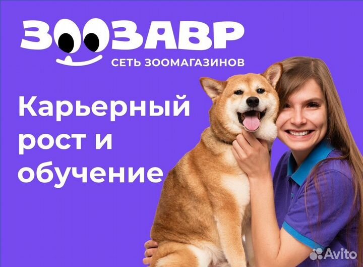 Продавец-кассир в зоозавр на проспект Стачки