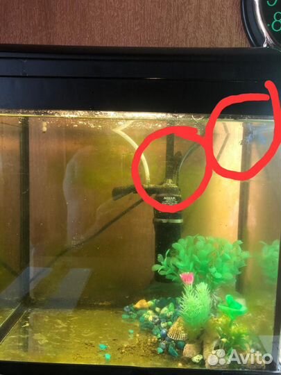 Аквариум с рыбками