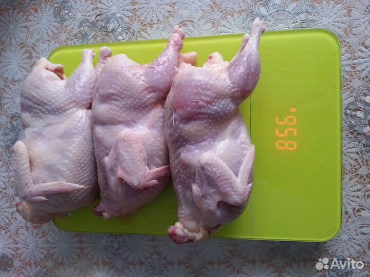 Мясо перепелов