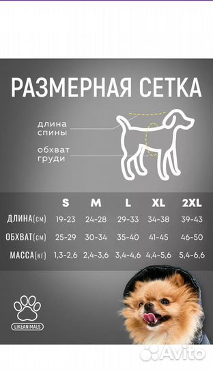 Зимний комбинезон для собаки