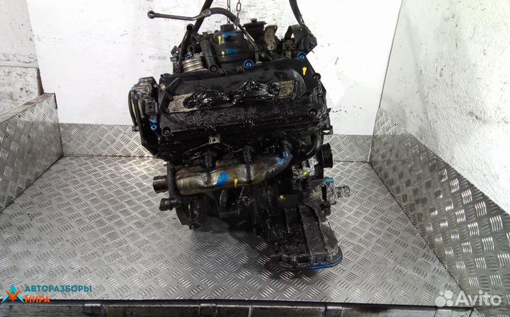 Двигатель Audi A6 4F/C6 2005 BPP
