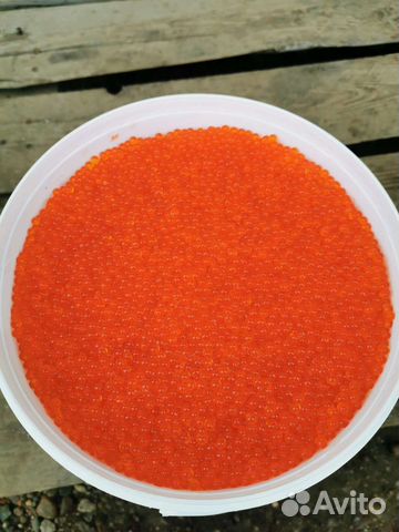 Икра Горбуши вылов 2023 камчатка