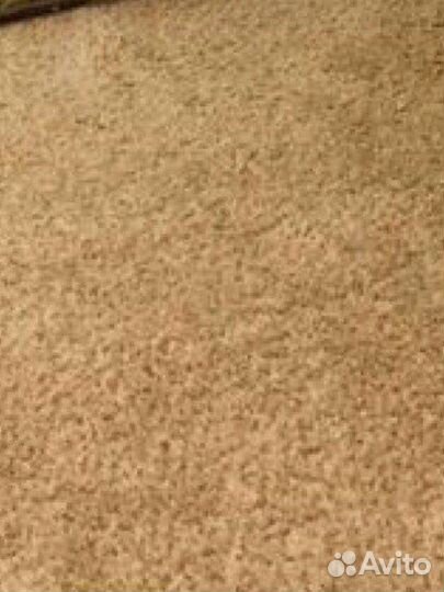 Дорожка.Ковролин.Рыже-золотой. 50 см на 6метров