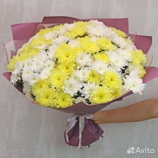 Букет Цветы Хризантемы