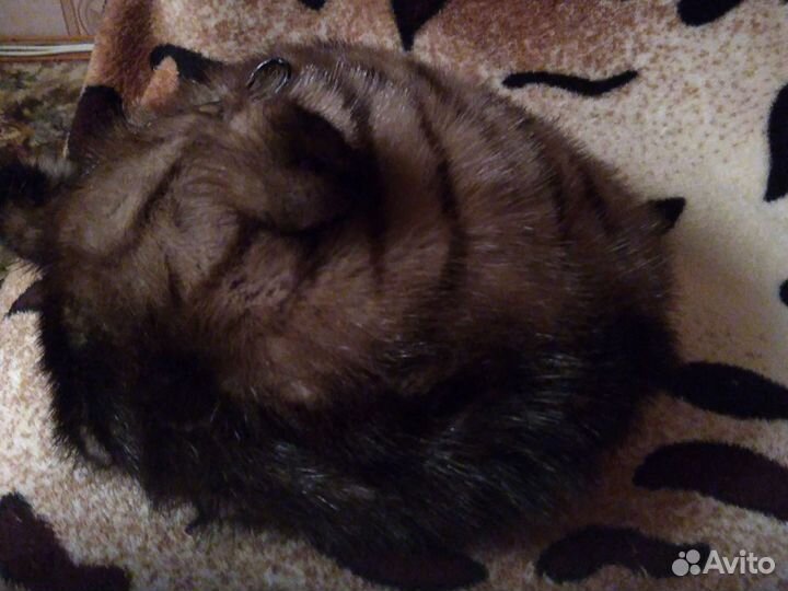 Берет женский зимний норковый