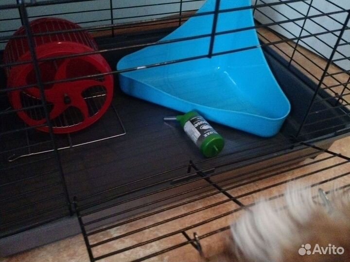 Клетка для грызунов бу