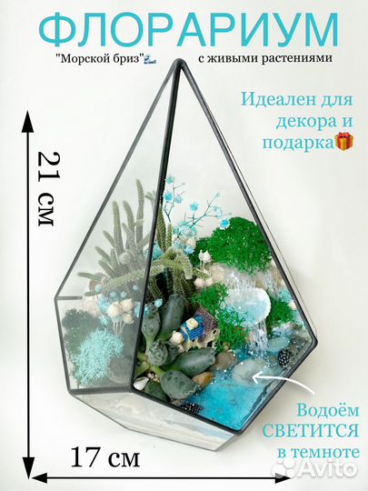Флорариум, подарок, цветы на 1 сентября