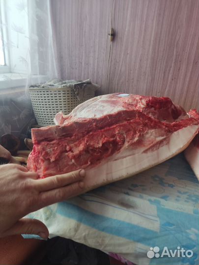 Мясо свинина домашняя