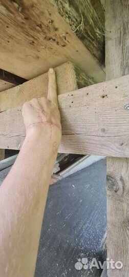 Слэб дерева