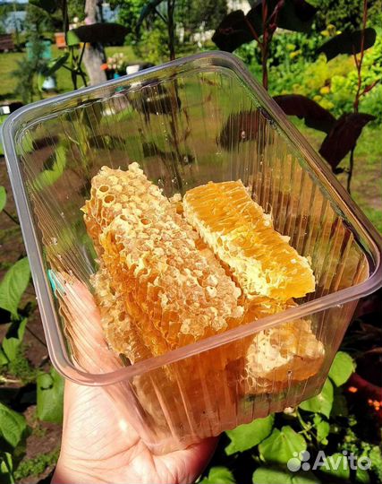 Мёд и продукция пчеловодства