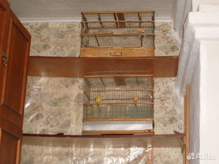 Клетки для птиц