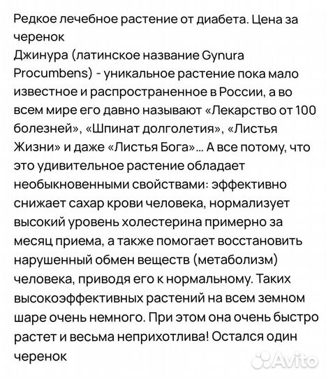 Джинура, листья Бога, шпинат