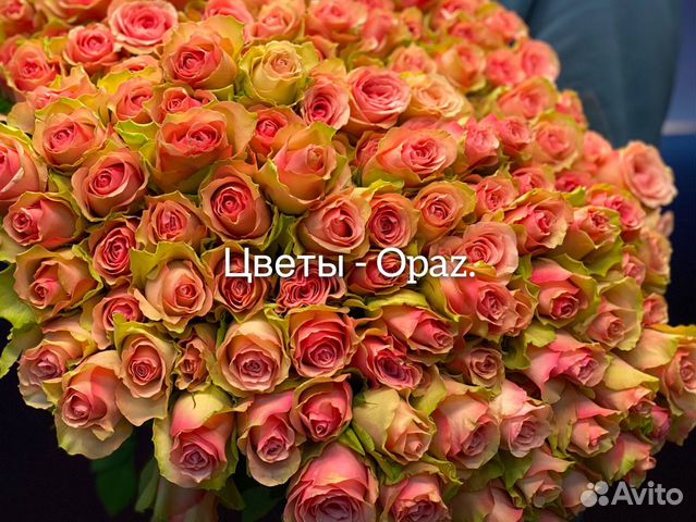 Розы оптом 50см