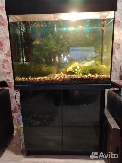 Аквариум с тумбой бу