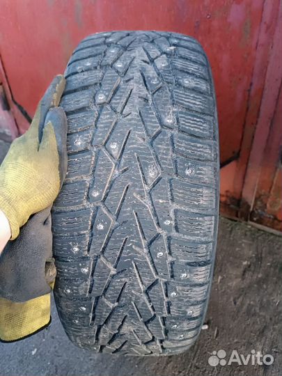 Nordman 7 215/60 R16 99