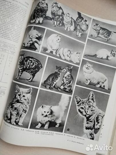 Краткая энциклопедия домашнего хозяйства 1979 г