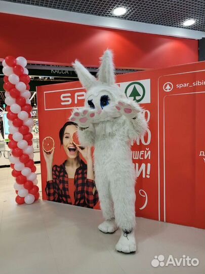 Ростовые куклы аренда