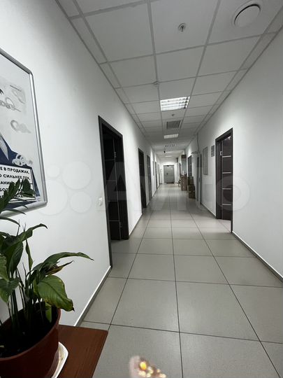 Офис, 83.5 м²
