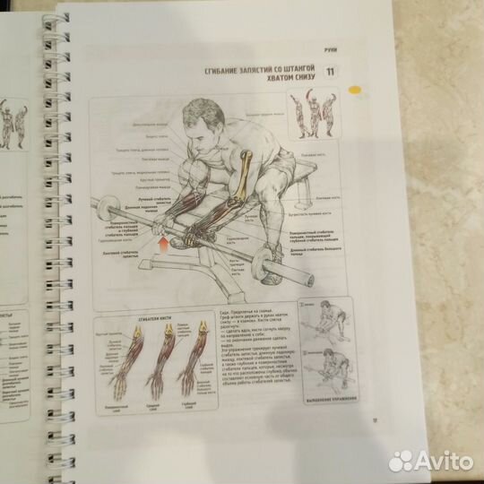 Анатомия силовых упражнений Делавье 5 издание