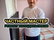 Ремонт холодильников морозильных камер с выездом