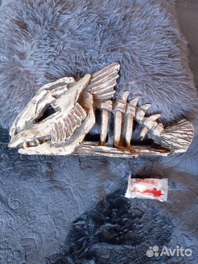 Декоративная рыба для аквариума