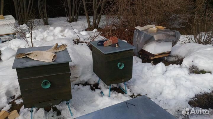Пчёлы, пчеломатки 22г, пчелопакеты, ульи,инвентарь