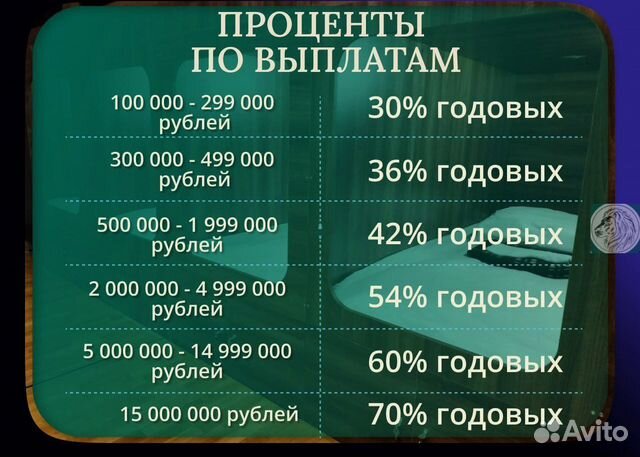 Бизнес инвестиции 30-70 годовых