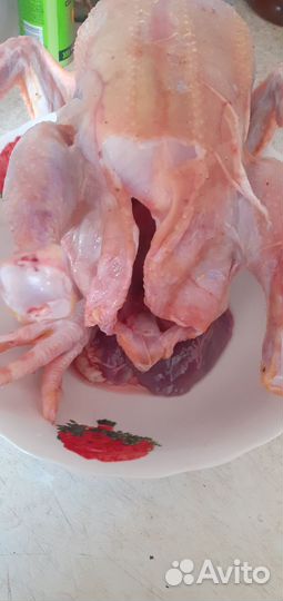 Мясо домашнего бройлера