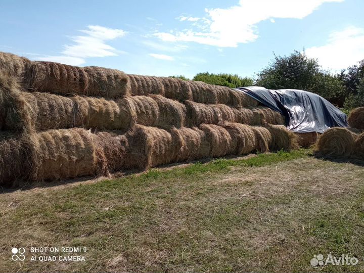 Сено в рулонах