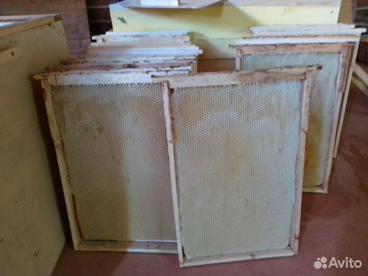 Мёд натуральный лесной