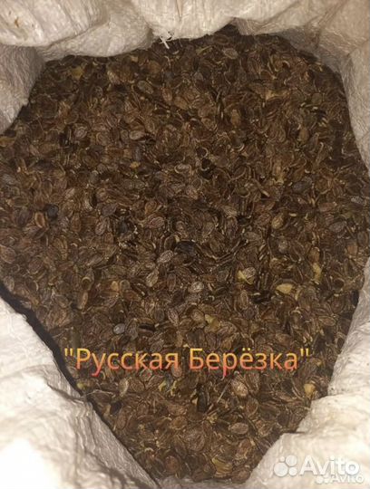 Семена арбуза