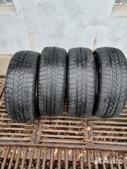 Tigar Winter 1 215/60 R16