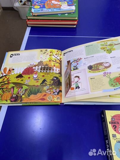 Книги- экциклопедии издательства Clever