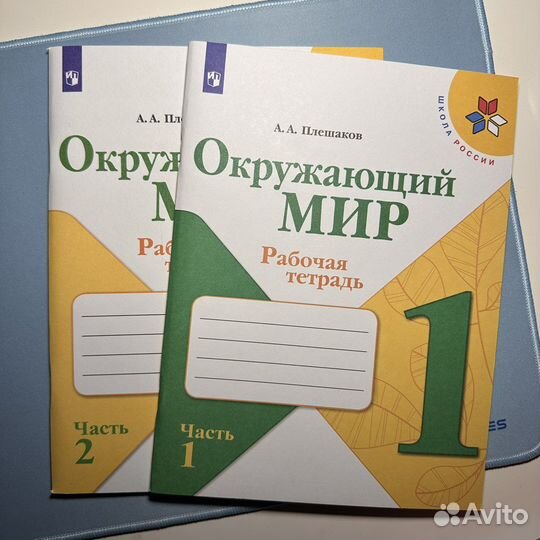 Рабочая тетрадь 1 класс